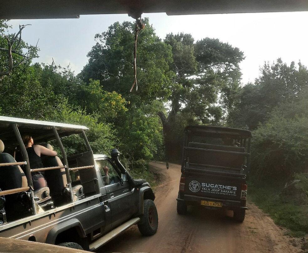 Capital Lanka Tours-科伦坡必去景点