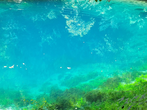 Blautopf-布劳博伊伦必去景点