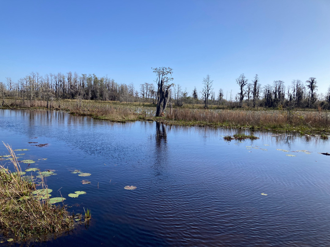 Okefenokee National Wildlife Refuge-Folkston必去景点