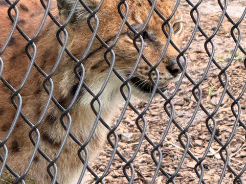 Panther Ridge Conservation Center-Loxahatchee必去景点