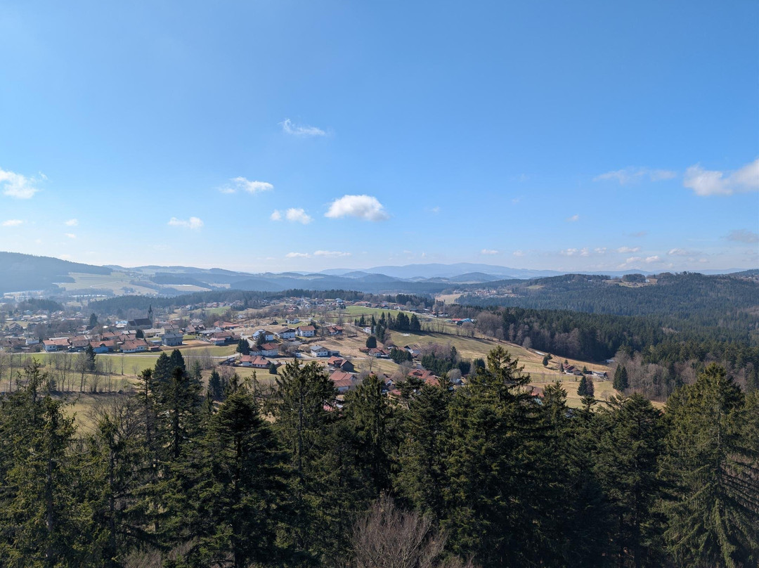 Baumwipfelpfad Bavarian Forest-Neuschonau必去景点