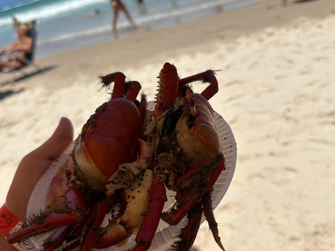 Heraldo Jr. Turismo e Receptivo-Maceio必去景点