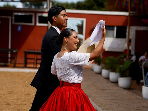 Caballos Peruanos De Paso-特鲁希略必去景点