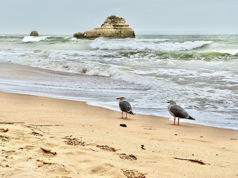 Praia do Amado-Aljezur必去景点