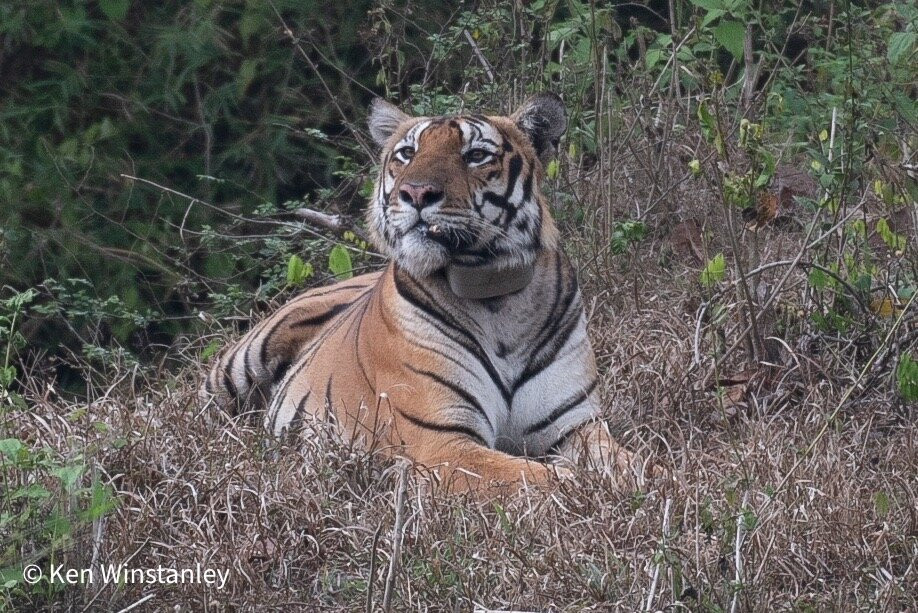 Nagarhole National Park-Hunsur必去景点