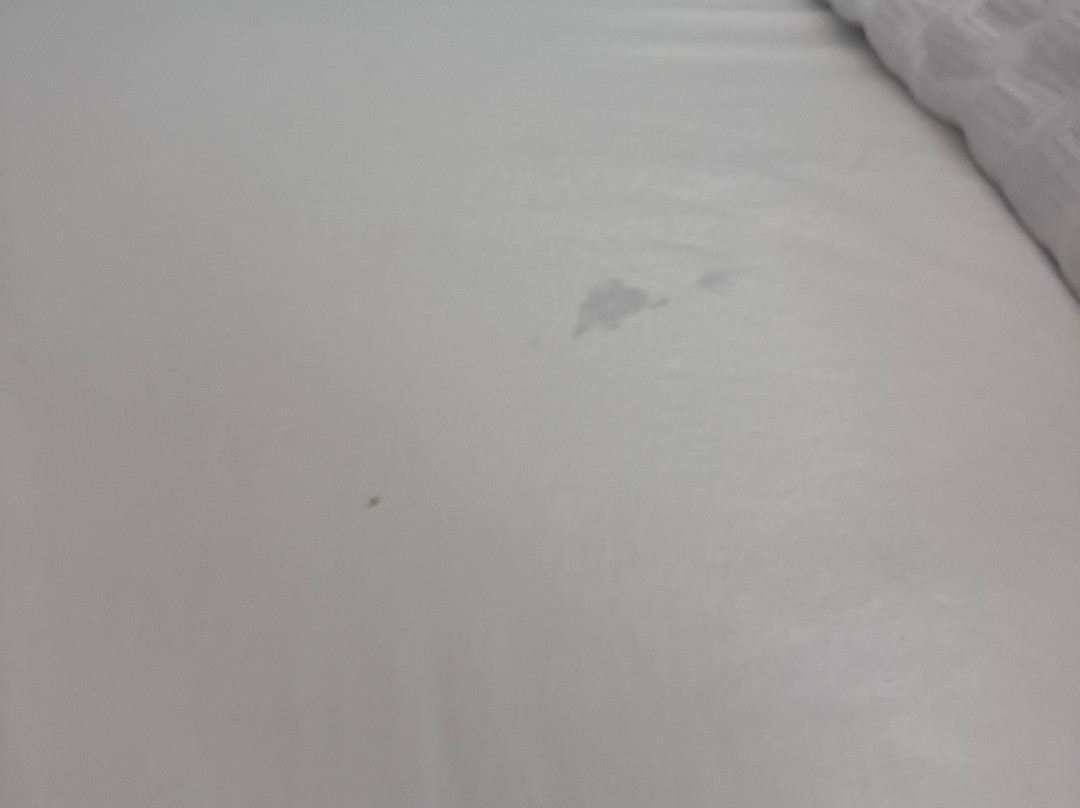 WoodSpring Suites Richmond Airport