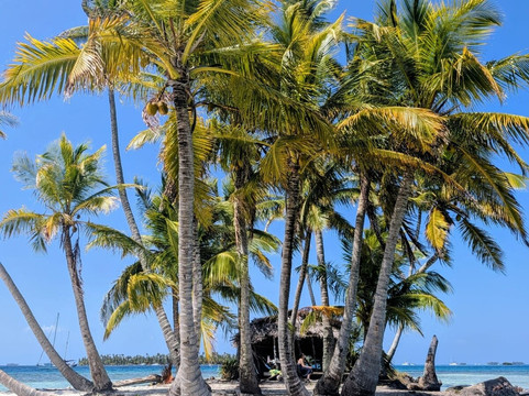 Flying Ginny Catamaran Charter-埃尔波韦尼尔必去景点