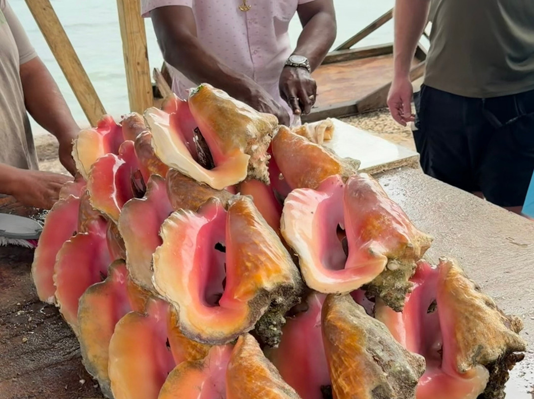 Simply Dave Nassau Tours-拿骚必去景点