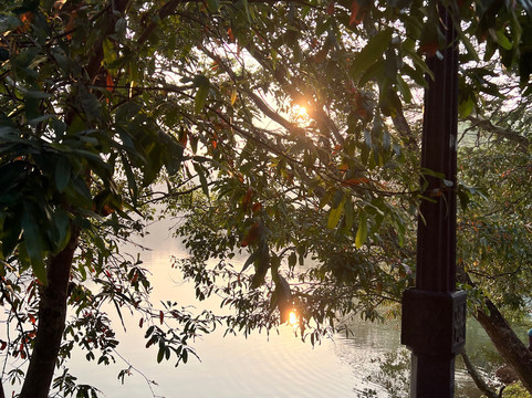 ceylanka tours-Kirillawala必去景点