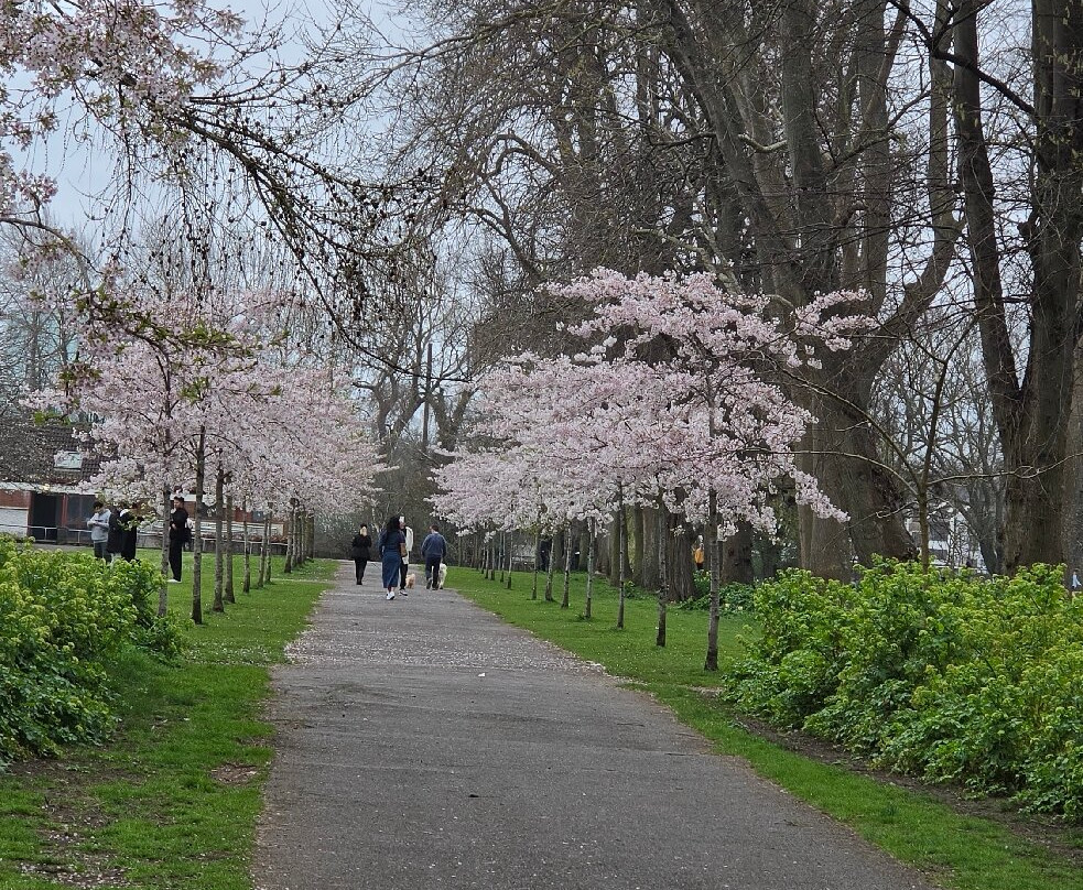 Herbert Park-都柏林必去景点