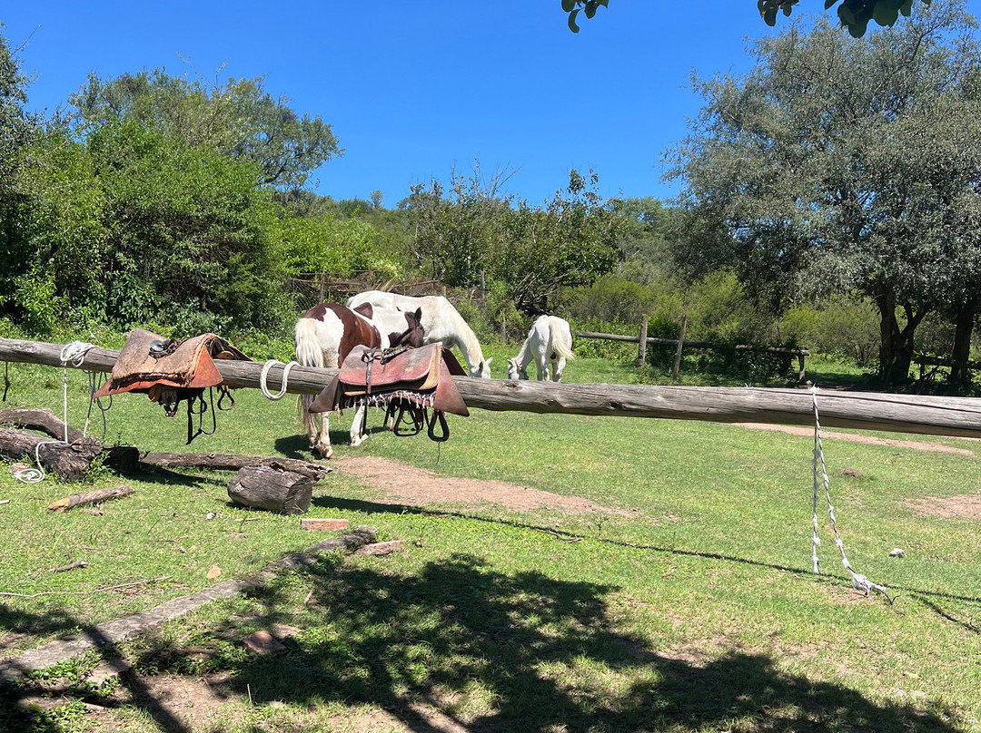 Cabalgatas Gauchas-萨尔塔必去景点