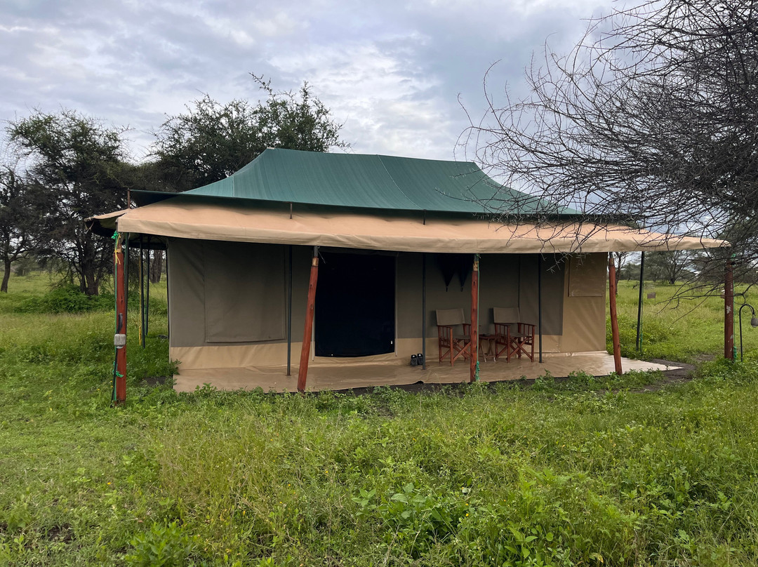 Savannah Explorers Limited-阿鲁沙必去景点