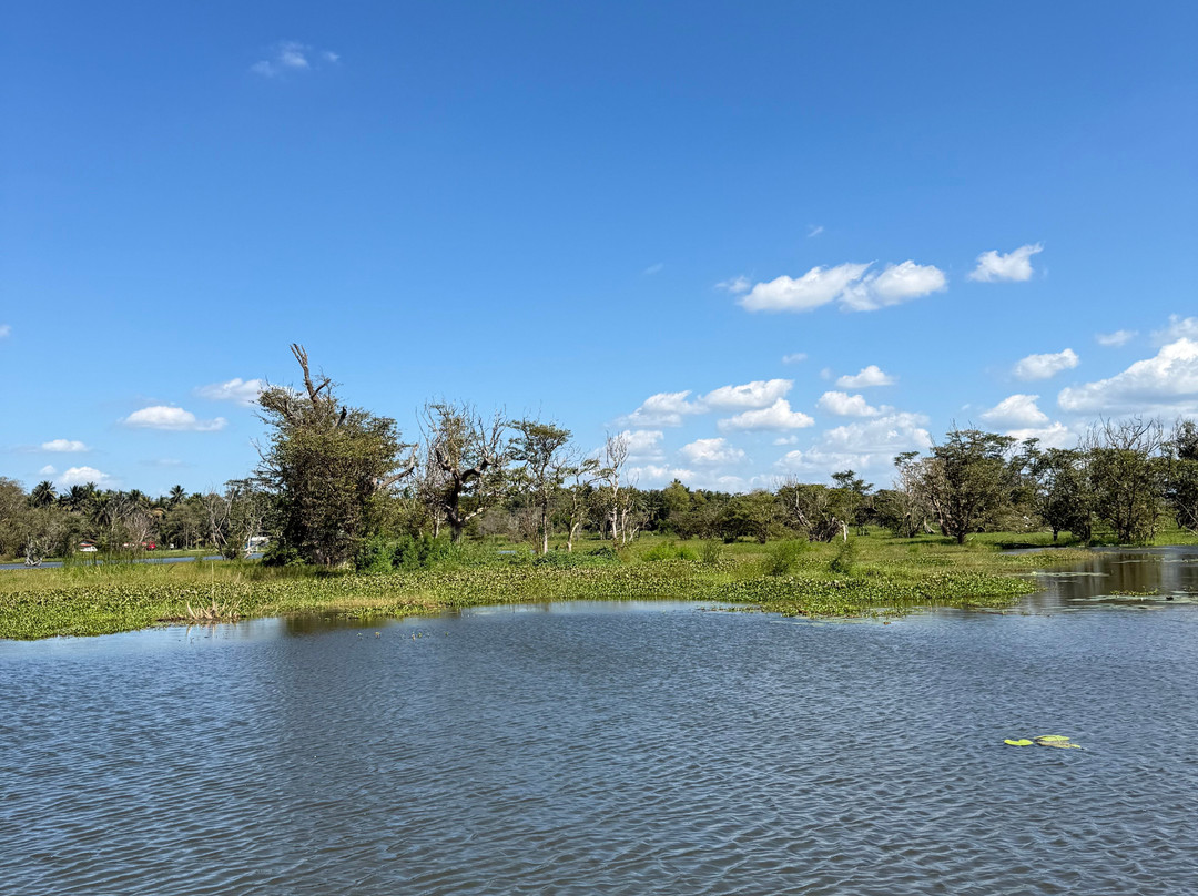 Hiriwadunna Village & Jeep Safari No 4-Hiriwadunna必去景点