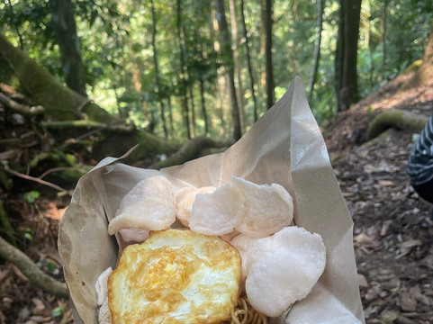 Bukit Lawang Travel-武吉拉旺必去景点