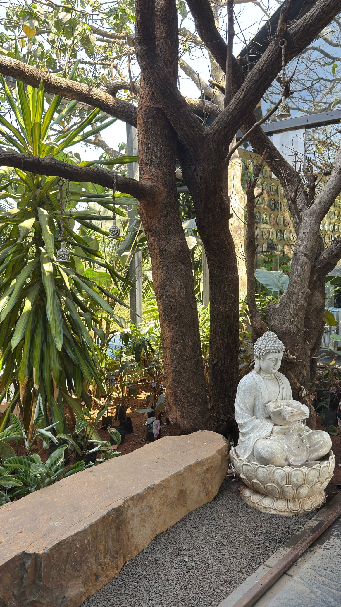 加那利群岛度假村及水疗中心-官方