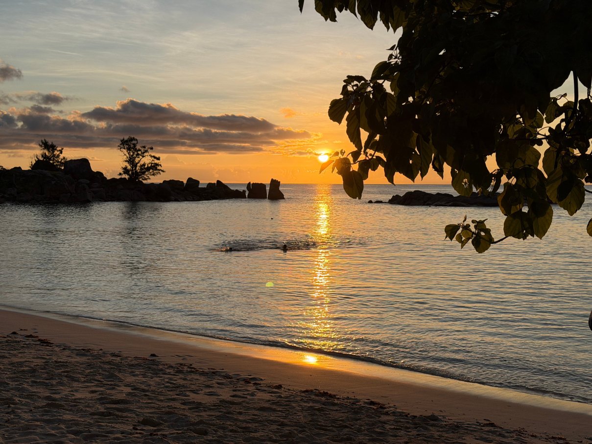 塞舌尔康斯丹蕾沐莉亚酒店-泳池