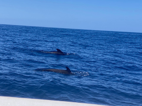 Tina Excursiones-Valle Gran Rey必去景点