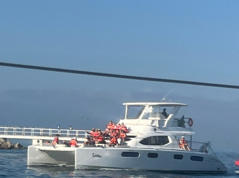 Vallarta Adventures-新瓦雅塔必去景点