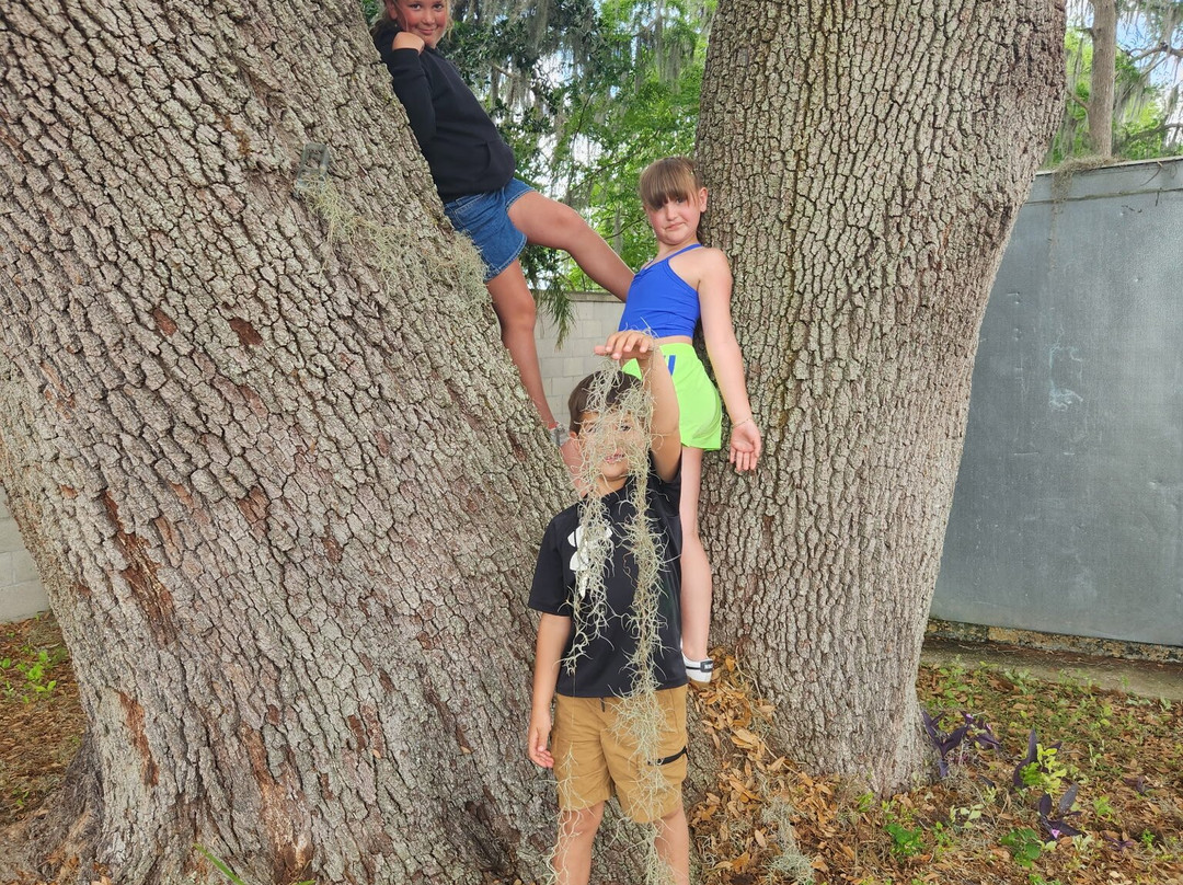 Tom and Jerry's Airboat Tours-Lake Panasoffkee必去景点