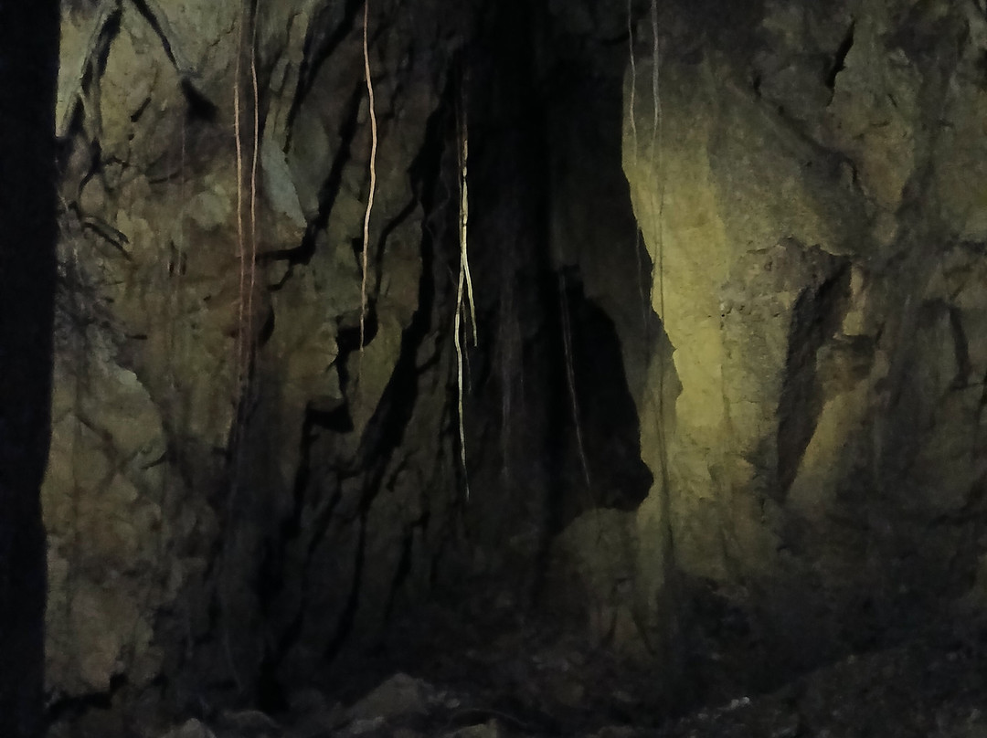 Goldmine Experience-Thames必去景点