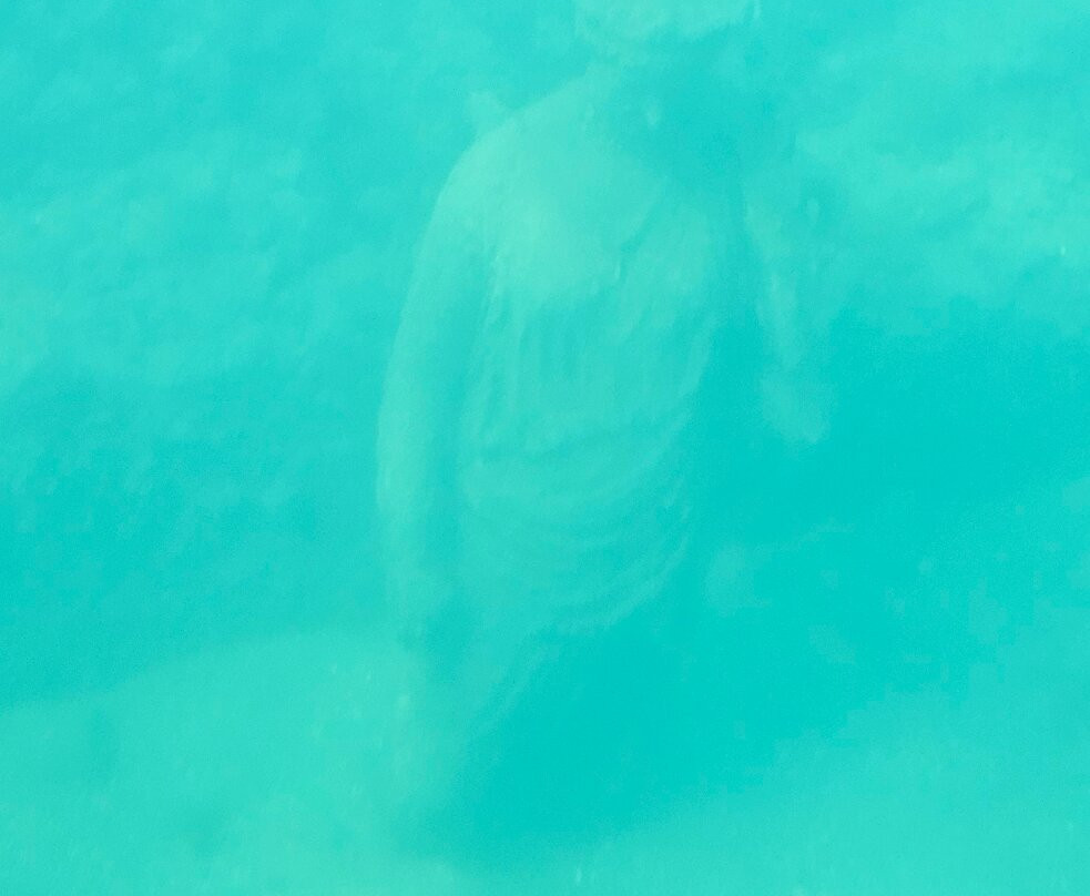 Nemosub Baia-Baiae必去景点