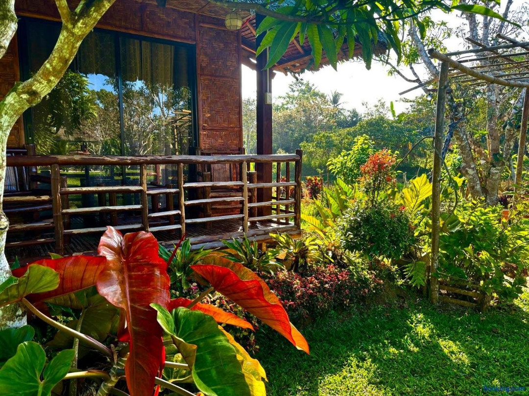 Camelo Farm