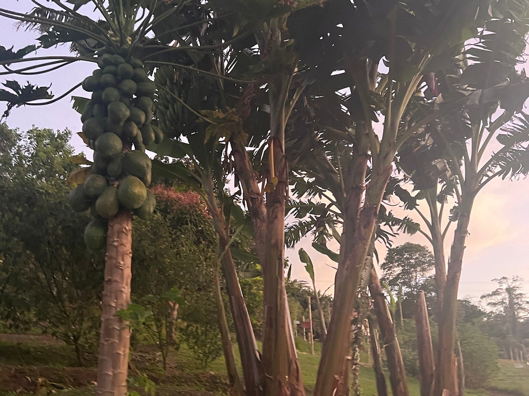 La Huerta Hotel主图