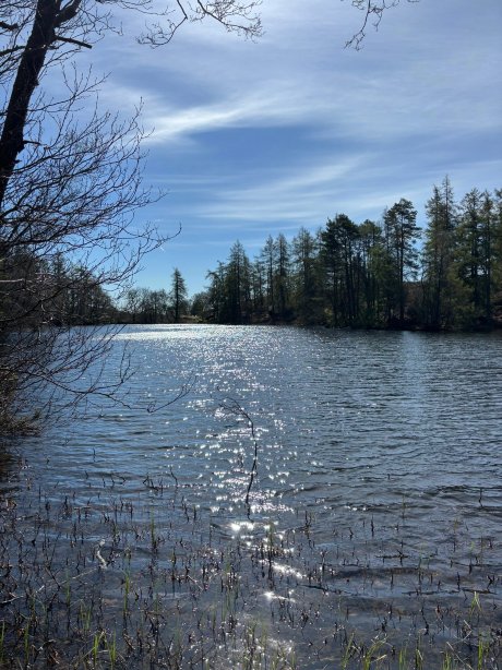 吉尔平湖畔别墅酒店-官方