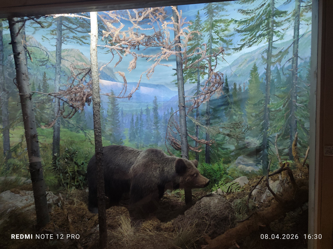 City Local Lore Museum-Zlatoust必去景点