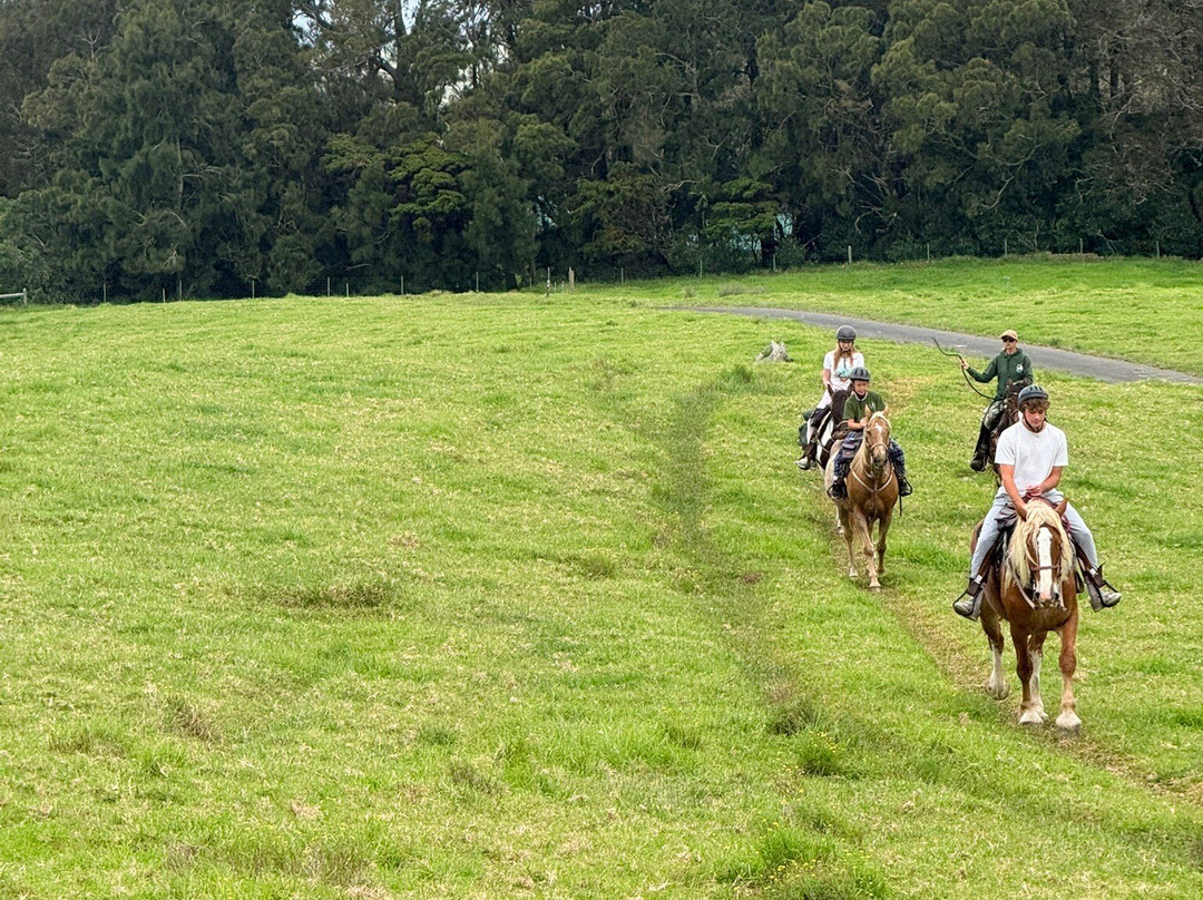 Na'alapa Stables - Kahua Ranch-卡慕也拉必去景点