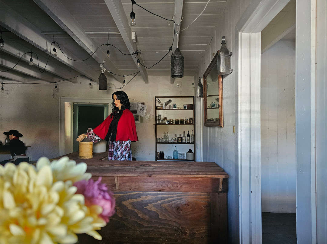 Sonoma Plaza-索诺玛必去景点