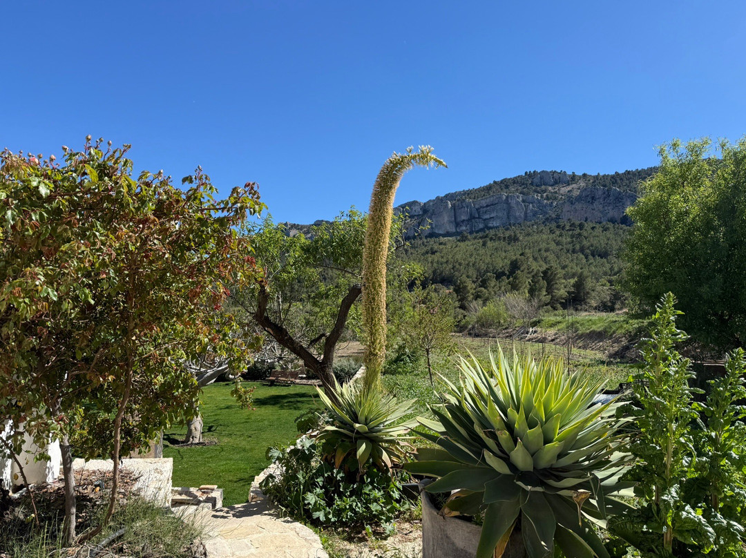 Bodega Masos Guadalest-Benimantell必去景点
