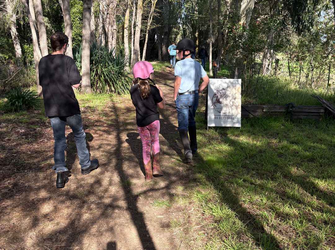 Watson's Mountain Country Trail Rides - Day Tours-曼斯菲尔德必去景点