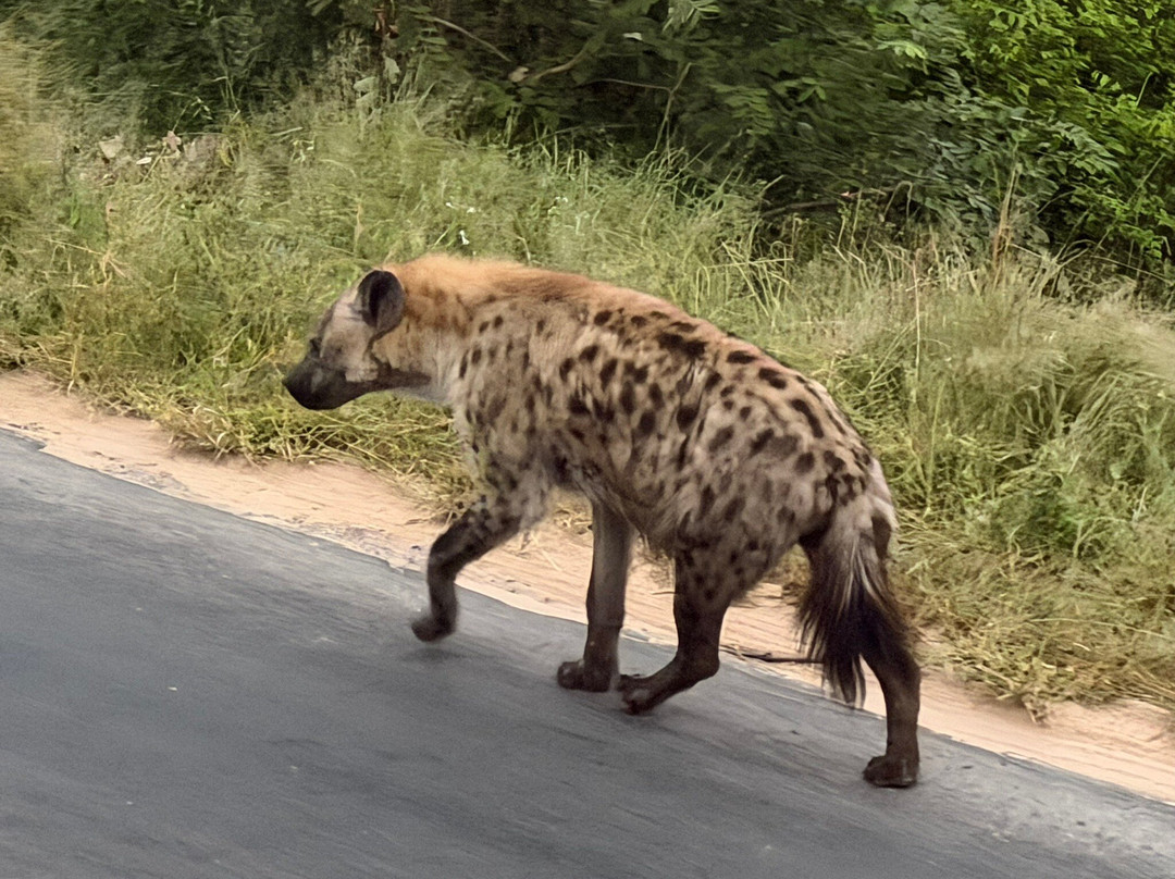 Touched By Nature-雾观必去景点