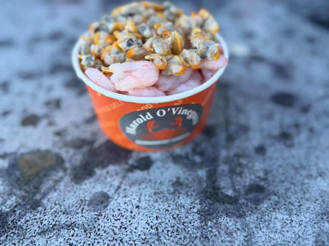 Tudor Lodge Bed & Breakfast主图