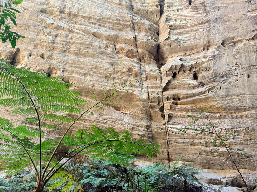 Australian Nature Guides-Carnarvon National Park必去景点