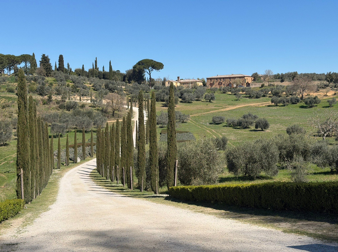 马瑟尼宫殿度假农庄酒店主图