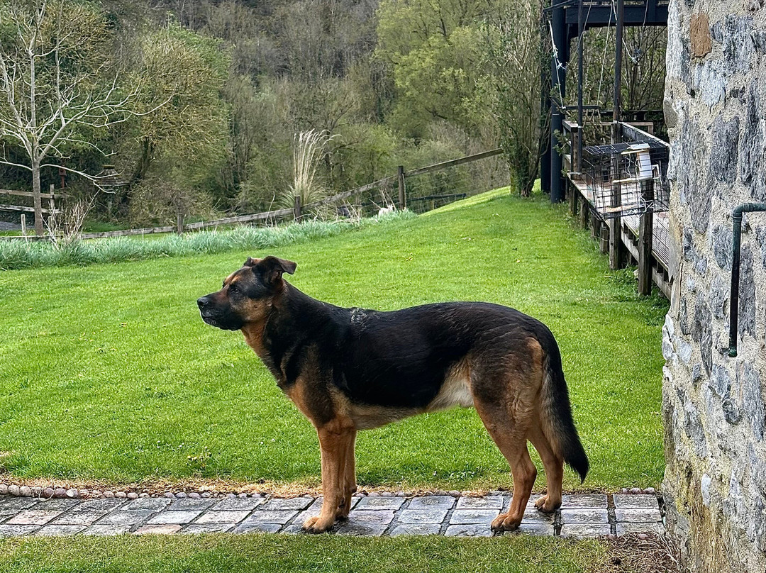 Lawcus Farm Guest House主图