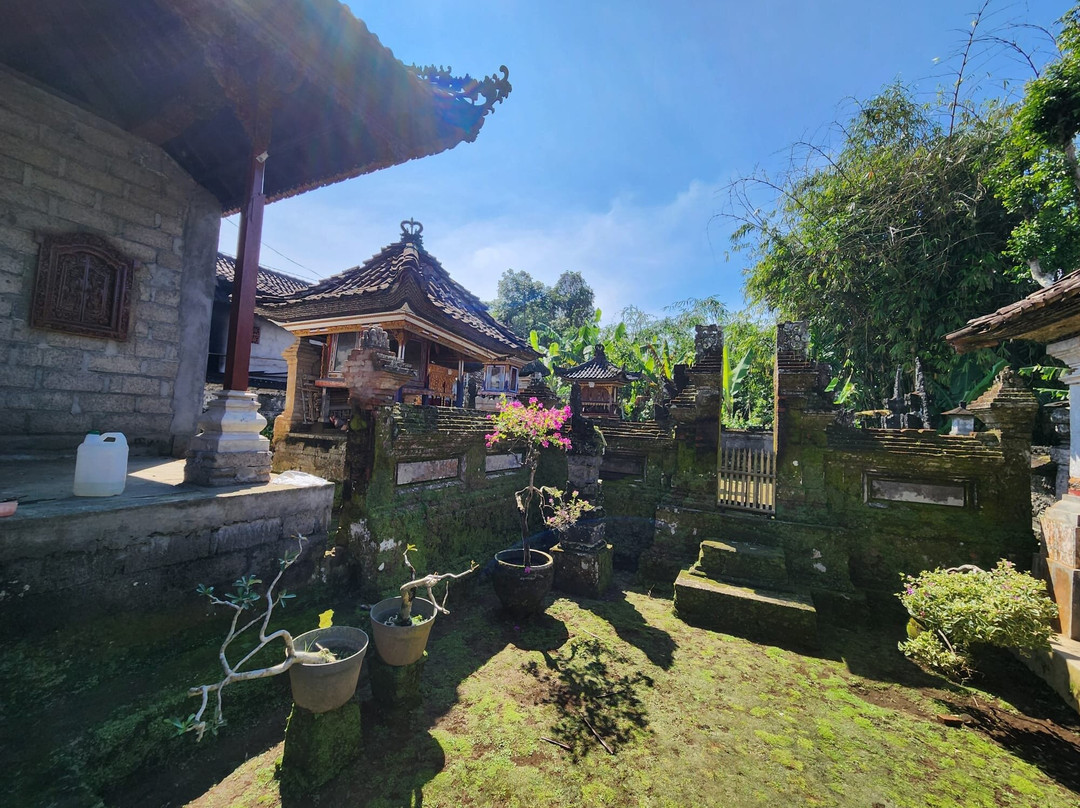 Bali Guide Francophone-登巴萨必去景点