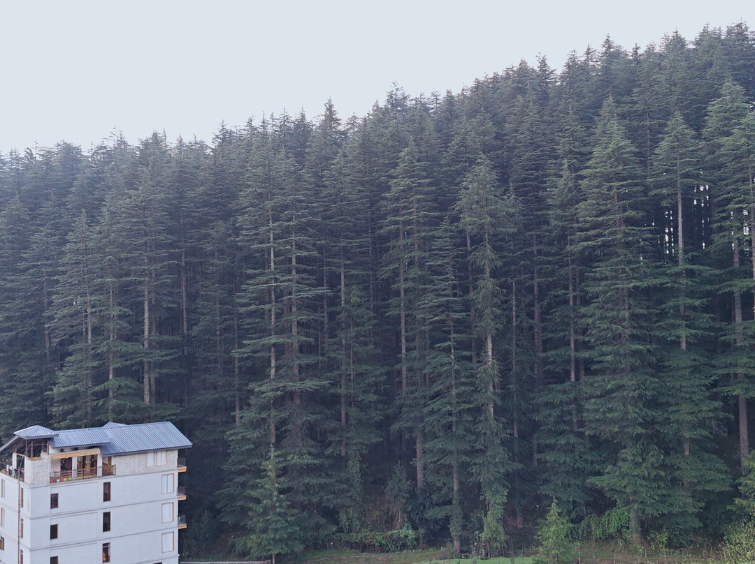 马拉里果园草坪酒店主图