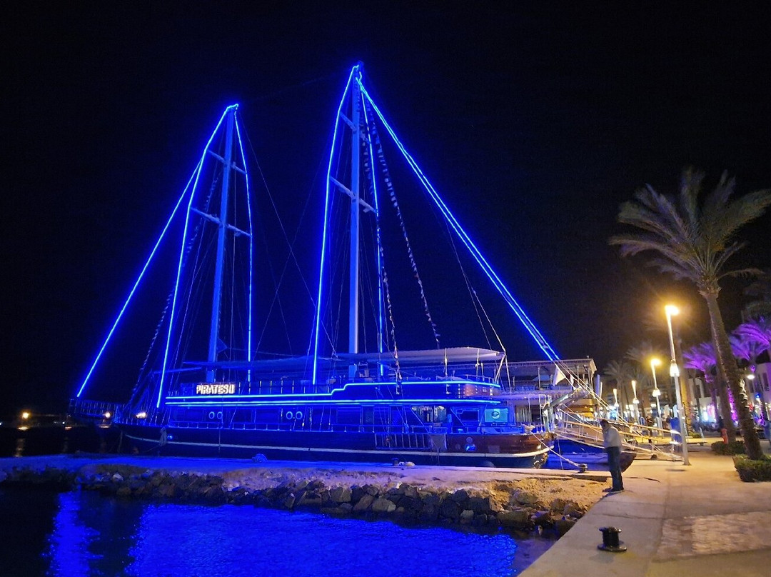 加利布港皮卡尔巴特罗斯绿洲酒店主图