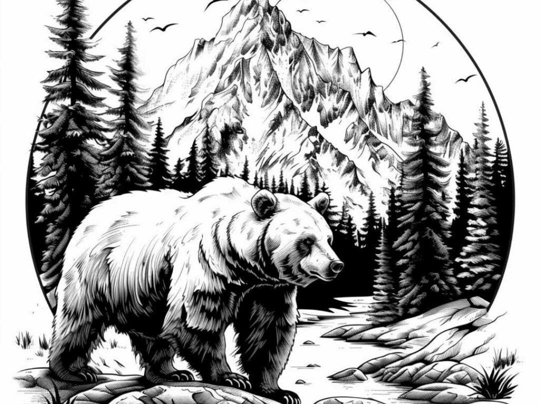 Residence Il Grande Orso