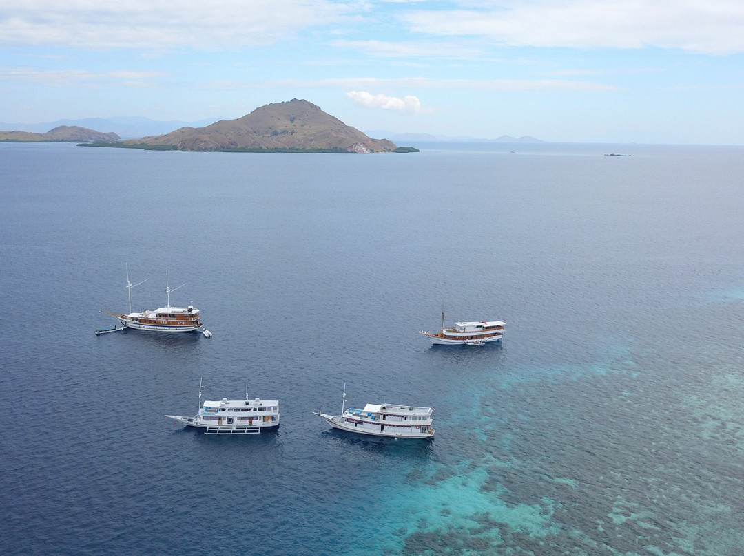 Komodo Island-科莫多国家公园必去景点