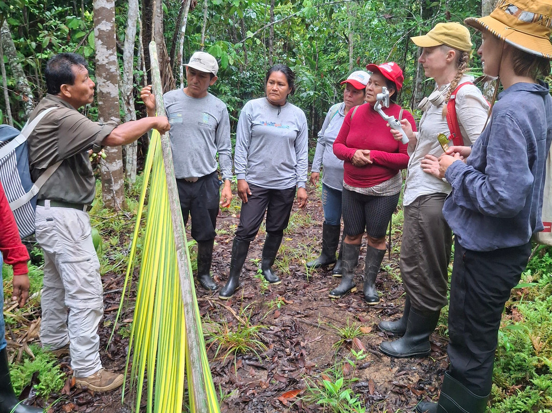 Green Wild Amazon Expedition-伊基托斯必去景点