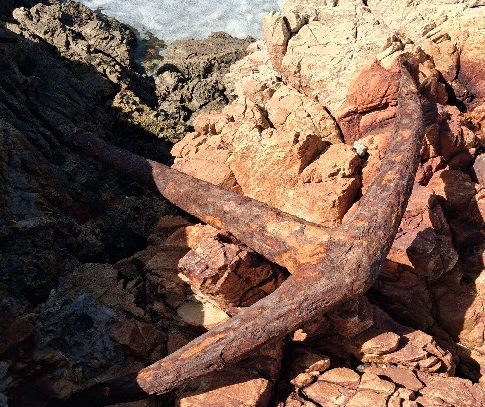 Hermanus Cliff Path-赫曼努斯必去景点