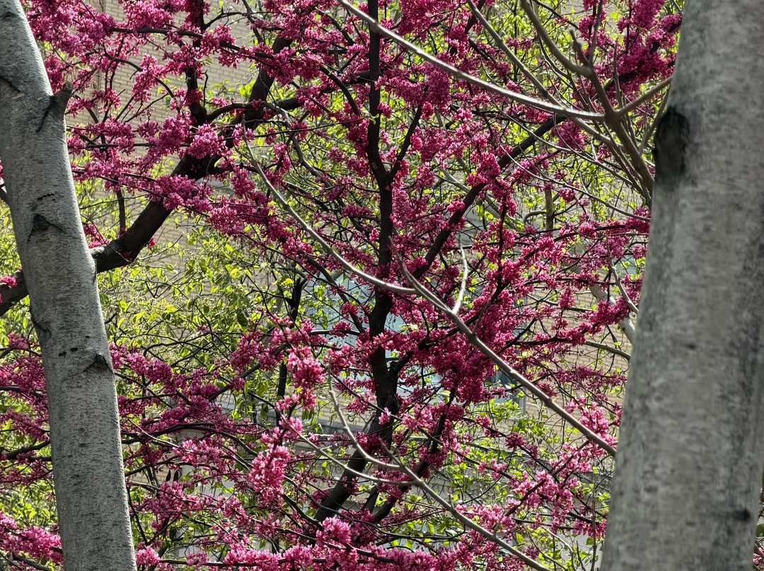 EAT NYC TOURS-纽约市必去景点