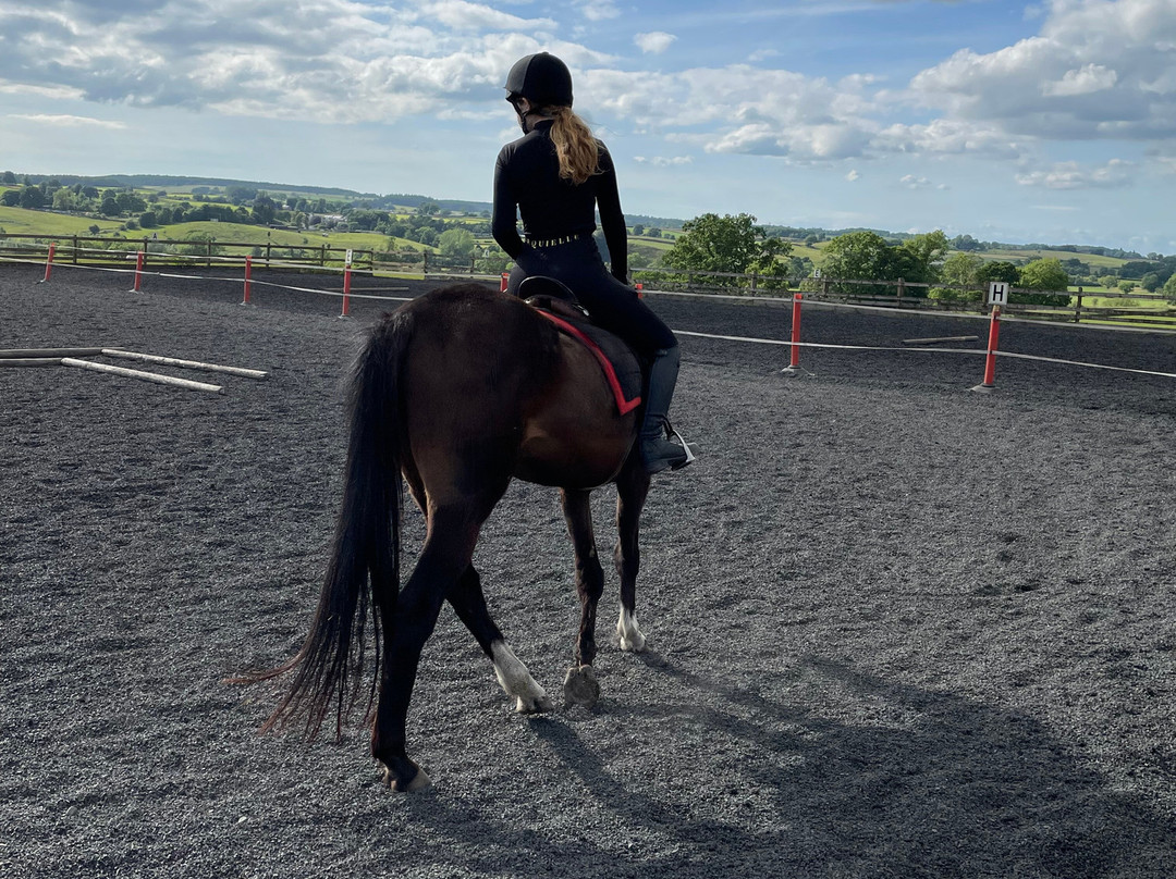 Bank House Equestrian - Private Rides-彭里斯必去景点