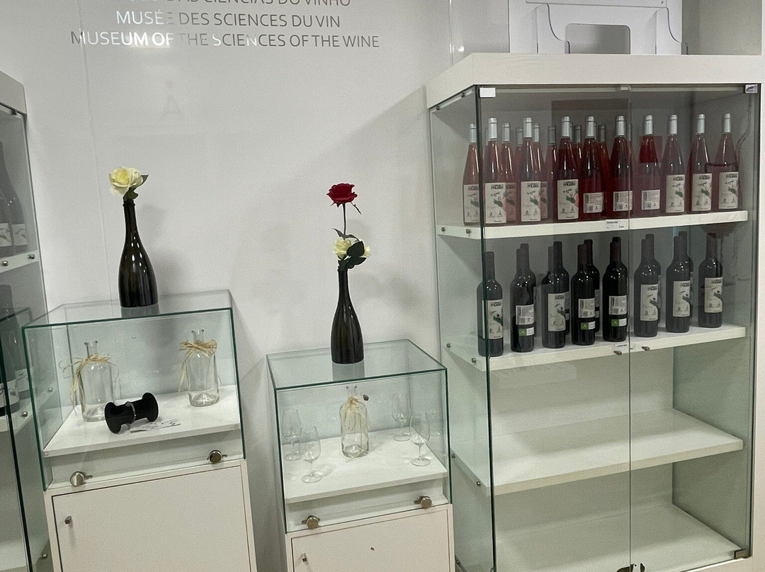 Museo de las Ciencias del Vino-Almendralejo必去景点