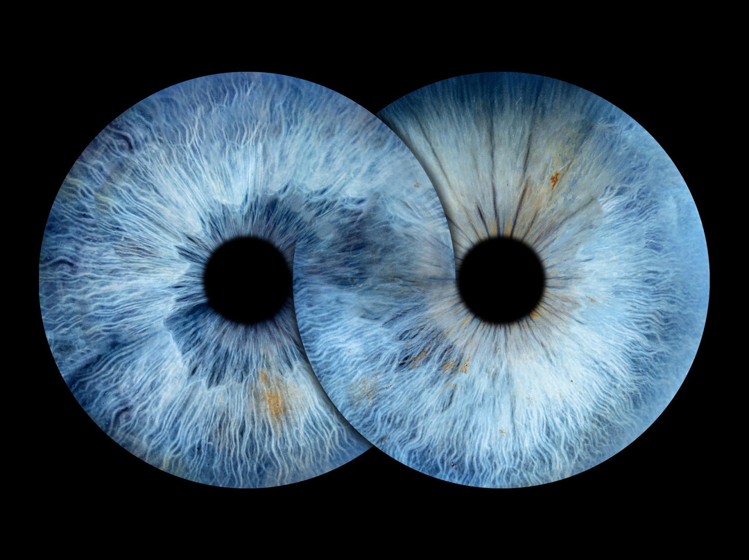 Iris Galerie Groningen