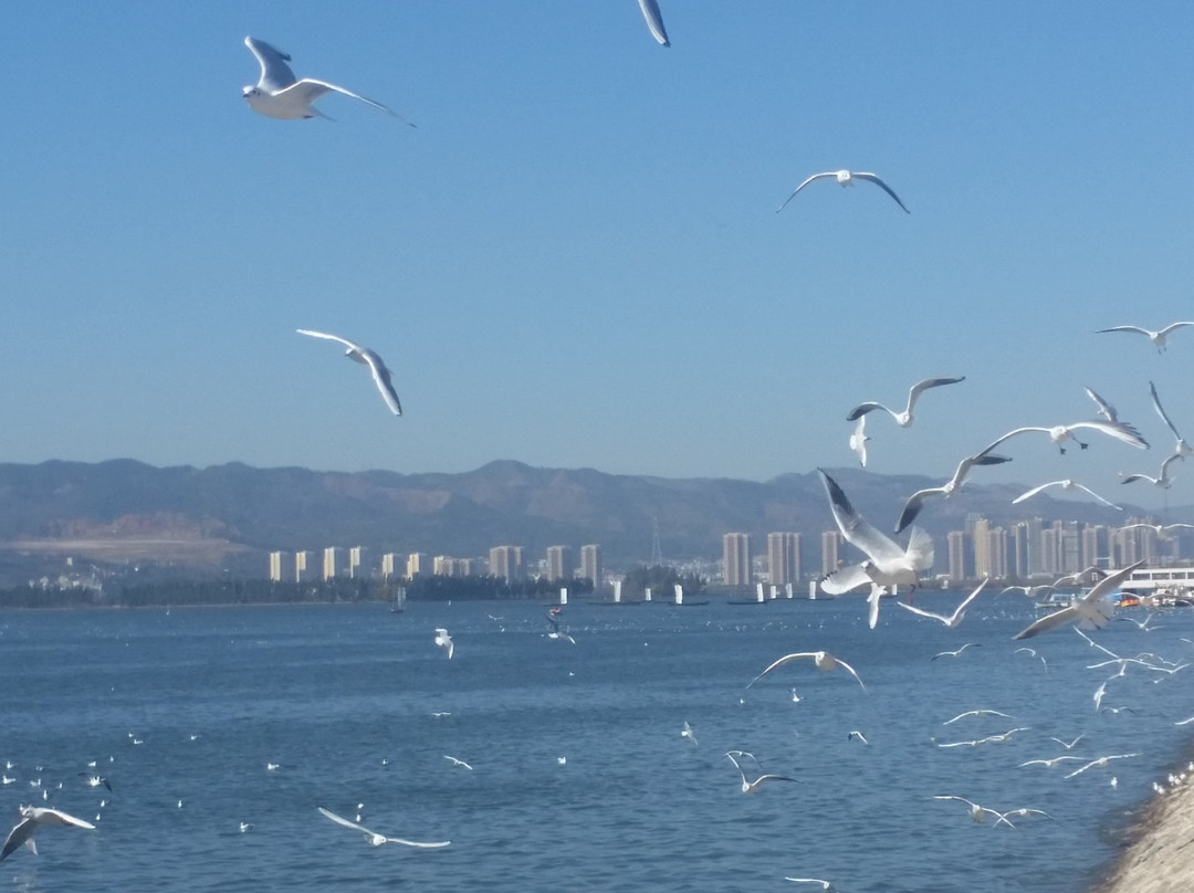海埂公园-昆明市必去景点